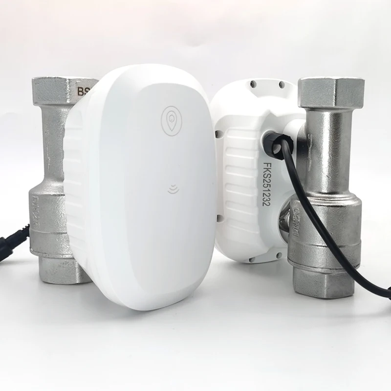 Water Valve WiFi Smart Control - Home Assistant Tuya 评论和价格