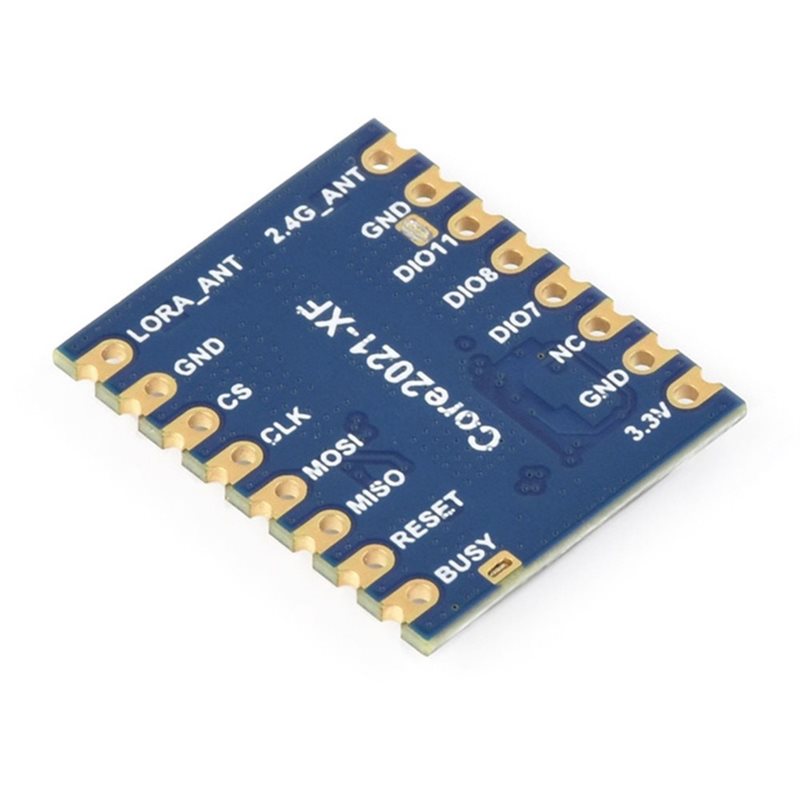 AA60 Core2021-LF LoRa Dual Ban - Smart Home Module Iot 评论和价格