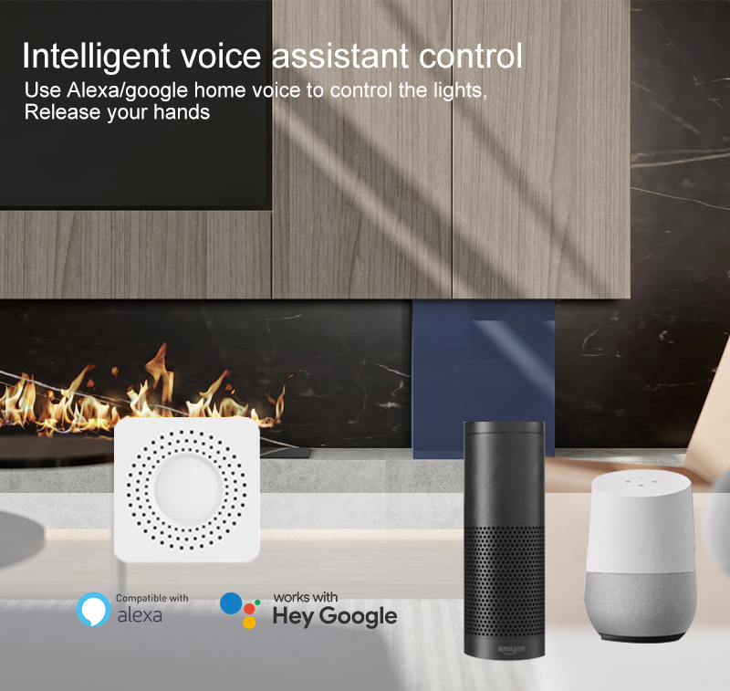 Tuya Mini Smart Switch WiFi 1- - Home Assistant Tuya 评论和价格